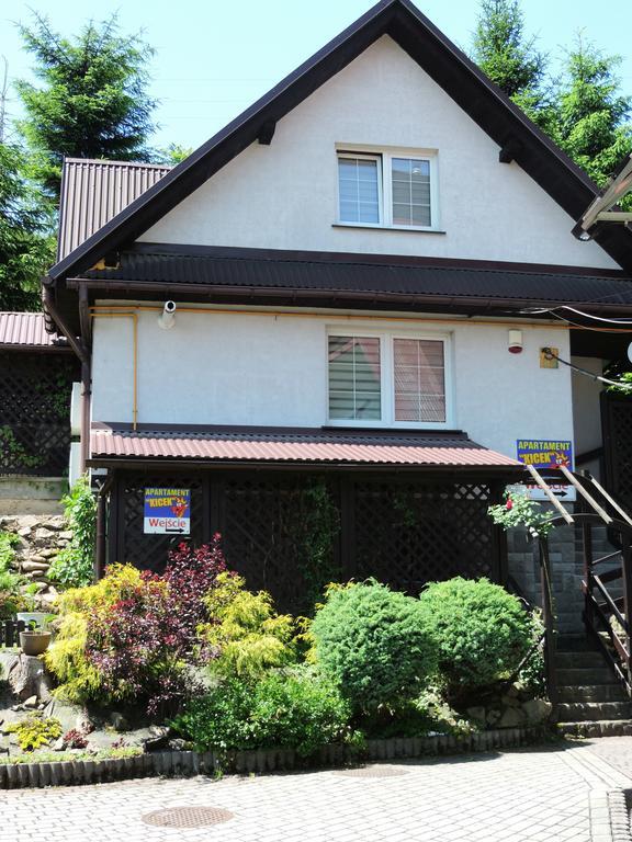 Apartament Suzyw Kicek スハ・ベスキツカ エクステリア 写真